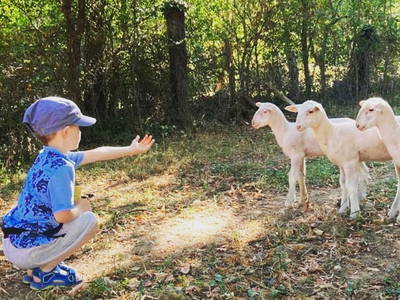 Bild 8 aus  Le Colombié - Ferienhäuser an der Dordogne mieten