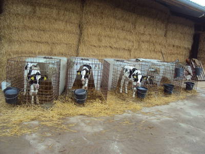 Bild 5 aus  Ferienhaus Fixemer