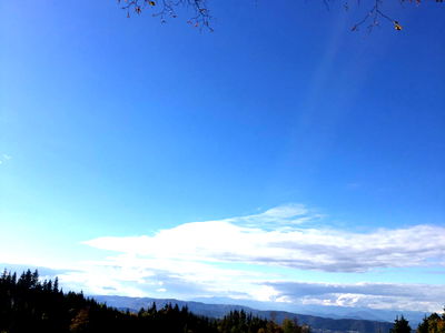Bild 272 aus Arlitscherhof