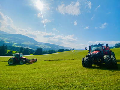 Bild 35 aus  Erbhof Hinting + Appartementhaus Hinting