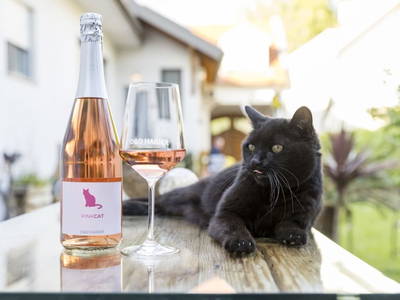 Bild 55 aus  Weingut & Gästehaus D&D Haider