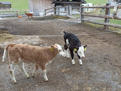 Bild 36 aus  Kaserer