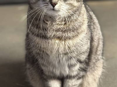 Bild 155 aus  Erbhof Hinting + Appartementhaus Hinting