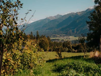 Bild 10 aus  Gasperhof