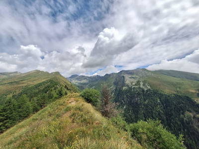 Bild 90 aus  Almhütte Pucher