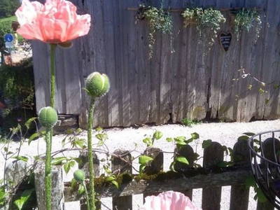 Bild 35 aus  Stillinghof