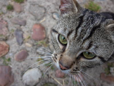 Bild 26 aus  Hof Flottwedel