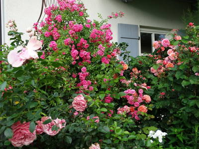 Bild 33 aus  Ferienhof "Familie Groh"