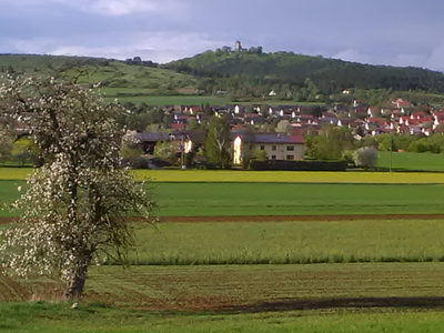 Bild 19 aus  Schmidts Ferienhof - Tierisch guter Urlaub im Herzen Deutschlands
