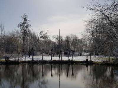 Bild 22 aus  Urlaub bei Familie Schmidt in Wippendorf