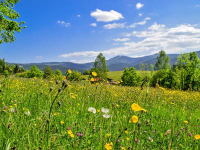 Bild 48 aus  Haberlhof