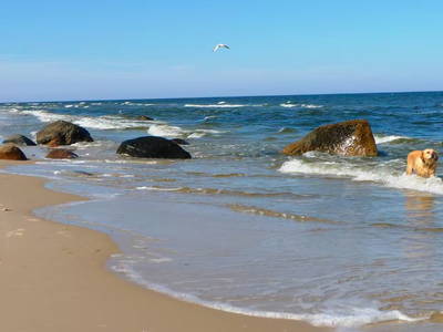 Bild 20 aus  Scheunenloft Usedom