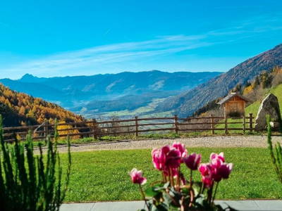 Bild 6 aus  Oberbacherhof