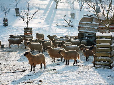Bild 18 aus  Behringhof am Gamengrund