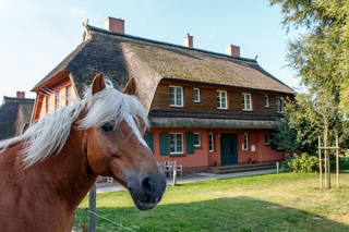 Rügen-Ferienhof aus Ummanz