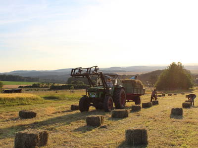 Bild 34 aus  LandSelection Grieshof