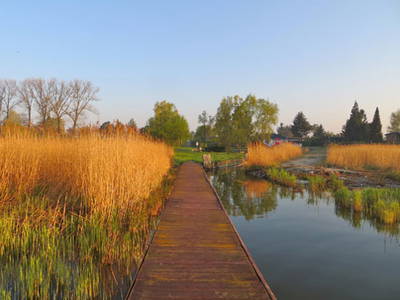 Bild 12 aus  1a Usedom Urlaub