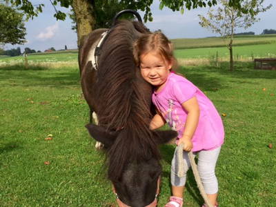 Bild 30 aus  Reiherhof