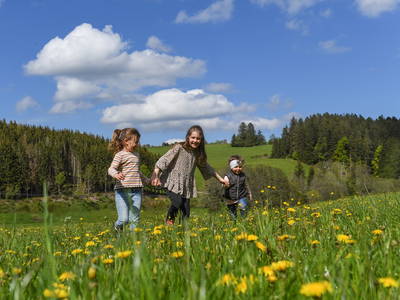 Bild 11 aus  Kernenhof