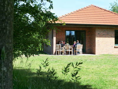 Bild 5 aus  Bernsteinreiter Hirschburg