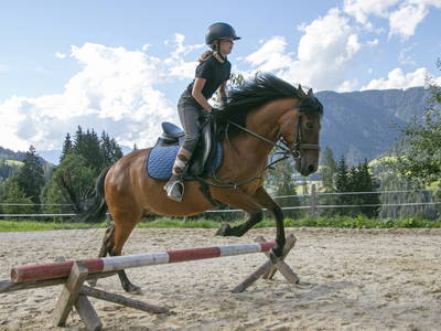 Bild 30 aus  Vordersattlegghof