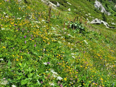 Bild 21 aus  Haus Steger