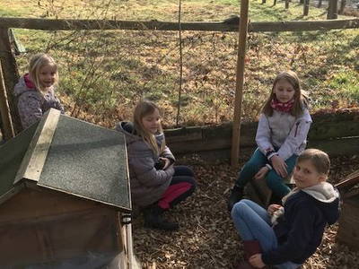 Bild 9 aus  Ferienhof  Jeiler