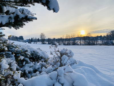Bild 2 aus  Landurlaub Allgäu