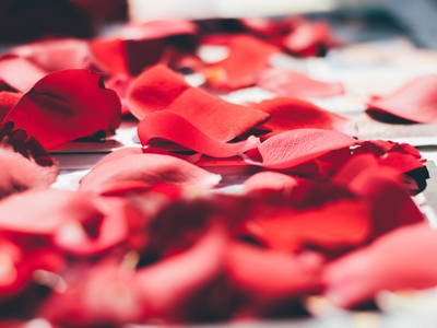 Bild 15 aus  The Hideaway Experience