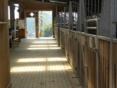 Bild 23 aus  Ferienhof Pulte