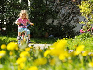 Bild 16 aus  Köllhof