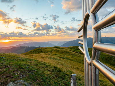 Bild 15 aus  Ferienwohnungen Perfeldhof