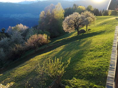 Bild 3 aus  Spörlhof