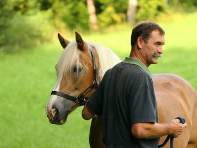 Bild 27 aus  Bucherhof