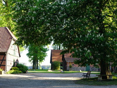 Bild 19 aus  Beekenhof