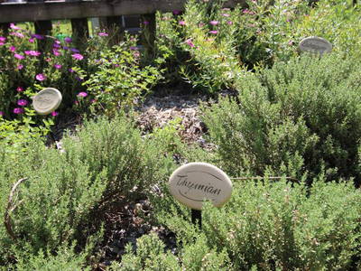 Bild 17 aus  Urlaub auf dem Bauernhof - Wiedmairhof in Algund - Meran