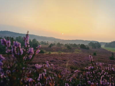 Bild 4 aus  Hof Bockelmann