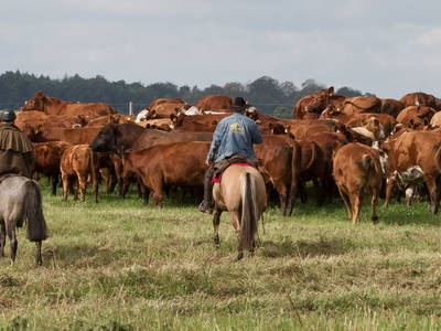 Bild 27 aus  FerienGut Dalwitz     www.feriengutdalwitz.de