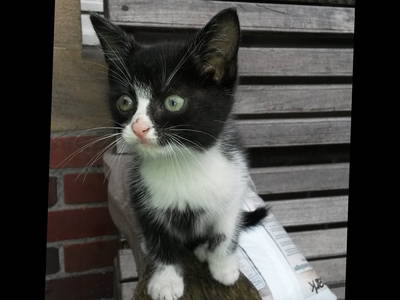 Bild 12 aus  Ferienwohnungen Schulze Althoff