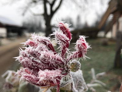 Bild 30 aus  Ferienwohnungen Beim Danner