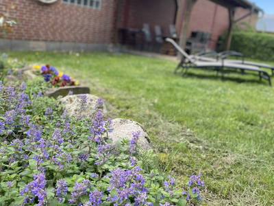 Bild 8 aus  Ferienhof Klaucke