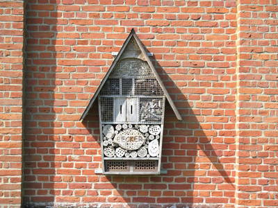 Bild 8 aus  Ferienhof Rudolf Becker Haus Liebevoll