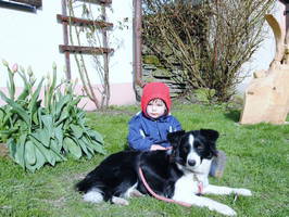 Bild 20 aus  Hof Kaltofen