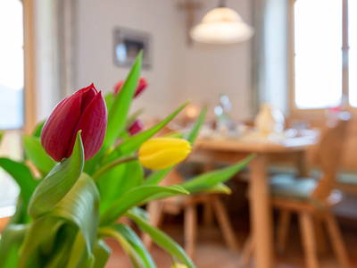 Bild 10 aus  Erharthof - Familie Lautenbacher