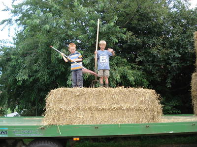 Bild 9 aus  Unsere kleine Farm