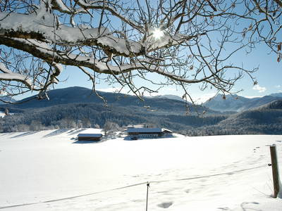 Bild 8 aus  Moar am Hof