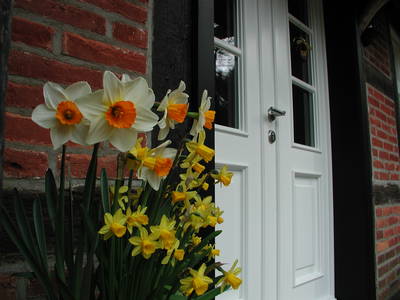 Bild 31 aus  Hof Höpen