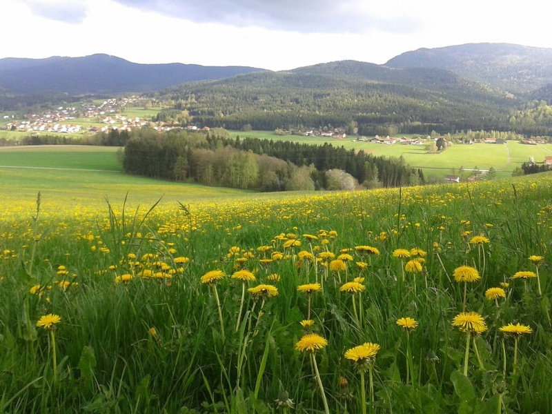 Kriegerhof