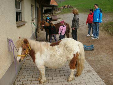 Bild 13 aus  Schillingerhof