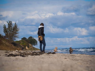 Bild 11 aus  Gut Buckhagen